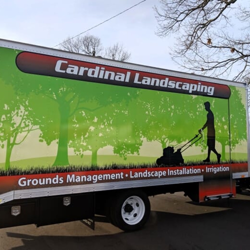 Vehicle Wraps